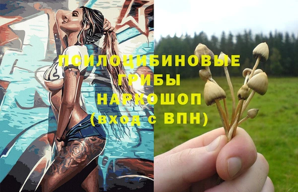 мдпв Наволоки