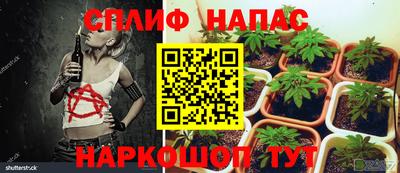 соль ск Балахна