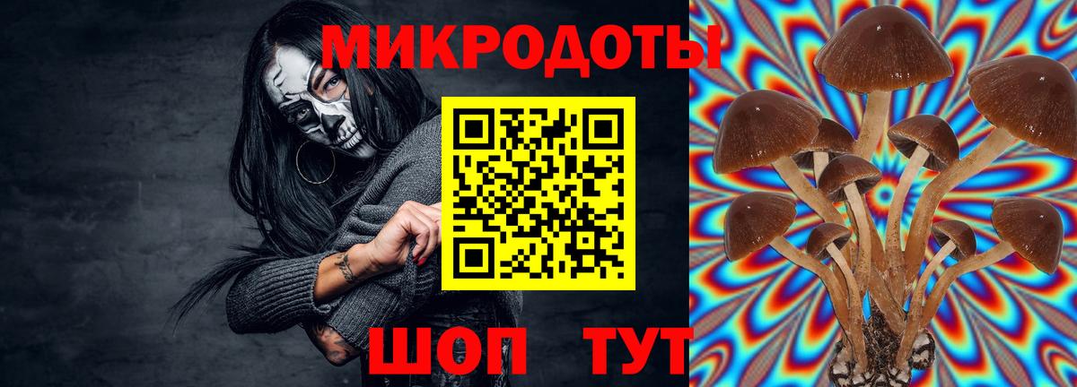 Псилоцибиновые грибы мицелий Бугуруслан