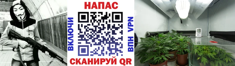 МАРИХУАНА семена  Бугуруслан 